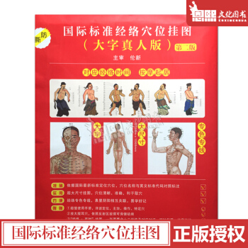 國際標準經絡穴位掛圖（大字真人版）第2二版 中醫推拿針灸艾灸拔罐按摩大全養生保健人體經絡穴位彩色圖解 pdf epub mobi 電子書 下載