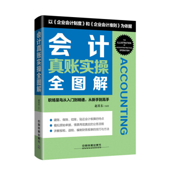 2017会计真账实操全图解 从入门到精通从新手到高手 会计书籍做账真账实训 营改增纳税财务 pdf epub mobi 电子书 下载