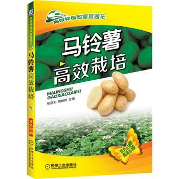 馬鈴薯栽培技術大全 馬鈴薯高效栽培 馬鈴薯種植技術書 土豆栽培技術圖書籍