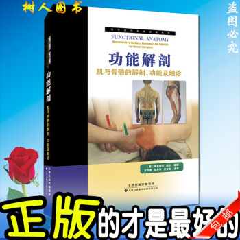 现货正版！功能解剖：肌与骨骼的解剖功能及触诊 西方现代临床按摩系列功能解剖学书籍 天津科译 pdf epub mobi 电子书 下载