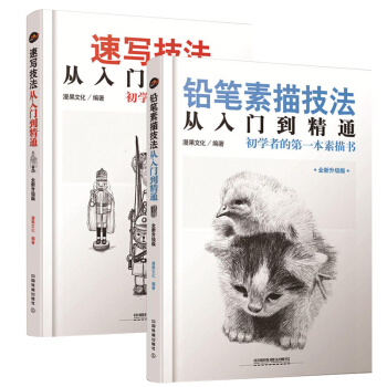 速写书技法从入门到精通+铅笔素描技法从入门到精通 2册 人物速写入门基础教程 美术绘画入 pdf epub mobi 电子书 下载