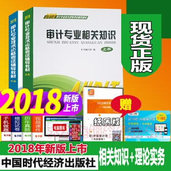 现货2018年审计师考试教材上下册审计专业相关知识+审计理论与实务共2本 书里含考试大纲