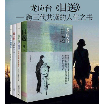 龙应台作品全集4册(全套) 目送 孩子你慢慢来 亲爱的安德烈 野火集 经典励志家教 pdf epub mobi 电子书 下载