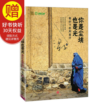 你是尘埃也是光 中信出版社
