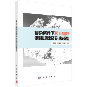 复杂条件下瓦斯爆炸传播规律及伤害模型 pdf epub mobi 电子书 下载