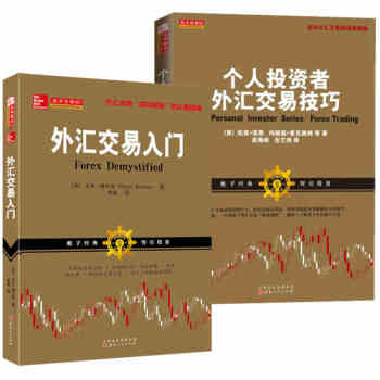 共2本 外汇交易入门+个人投资者外汇交易技巧 外汇投资外汇交易基础知识外汇技术分析