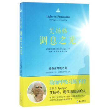 艾扬格调息之光 pdf epub mobi 电子书 下载