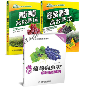 棚室葡萄高效栽培+葡萄优质高效栽培+葡萄病虫害诊断与防治 葡萄种植技术书籍 pdf epub mobi 电子书 下载