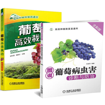 葡萄种植书籍+葡萄病虫害防治技术书 现代农业科技图书 生态农业书籍 种植技术书 pdf epub mobi 电子书 下载