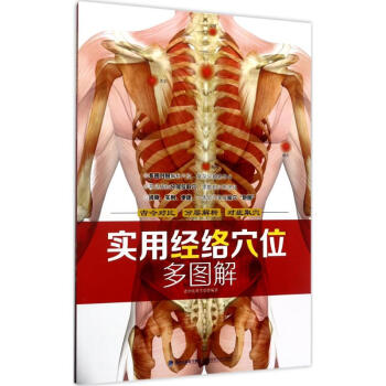 实用经络穴位多图解 pdf epub mobi 电子书 下载