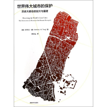 世界偉大城市的保護 pdf epub mobi 電子書 下載