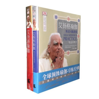 艾揚格瑜伽:精準習練指南 艾揚格瑜伽:精進習練指南(套裝共2冊) pdf epub mobi 電子書 下載