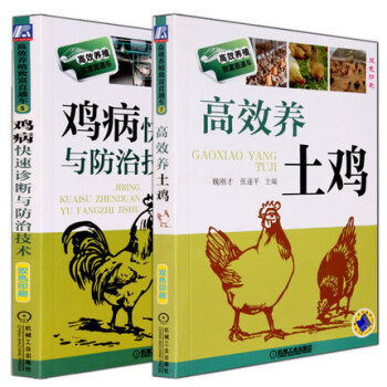 养鸡书高效养土鸡+鸡病快速诊断与防治技术 高效养鸡系列鸡养殖技术大全养鸡的书籍病防治 2本 pdf epub mobi 电子书 下载