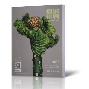 摄影世界杂志 2016年1月总第409期 摄影+ 艺术摄影类 pdf epub mobi 电子书 下载