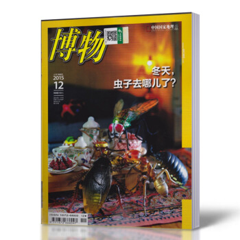 博物雜誌 2015年12月中國國傢地理少年版 鼕日尋蟲 pdf epub mobi 電子書 下載