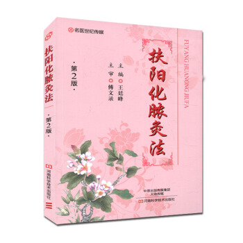 扶阳化脓灸法(第2版)王廷峰 中医针灸艾灸疗法书籍 pdf epub mobi 电子书 下载