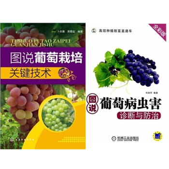 图说葡萄栽培关键技术+高效种植致富直通车:图说葡萄病虫害诊断与防治2本 pdf epub mobi 电子书 下载