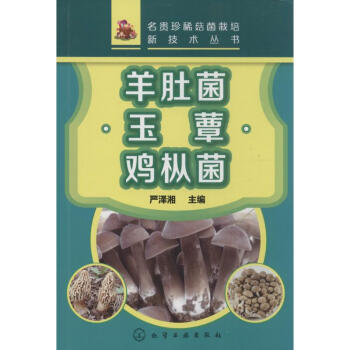 羊肚菌·玉蕈·鸡枞菌 pdf epub mobi 电子书 下载
