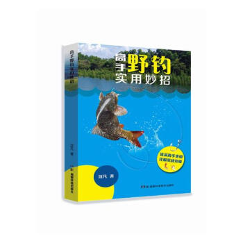 高手野釣實用妙招 體育/運動 書籍 pdf epub mobi 電子書 下載