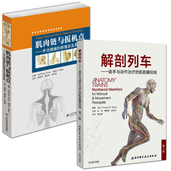解剖列车:徒手与动作治疗的肌筋膜经线(第三版)+肌肉链与扳机点:手法镇痛的新理念及其应用 pdf epub mobi 电子书 下载