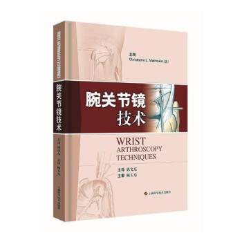 腕关节镜技术 医学 书籍 pdf epub mobi 电子书 下载
