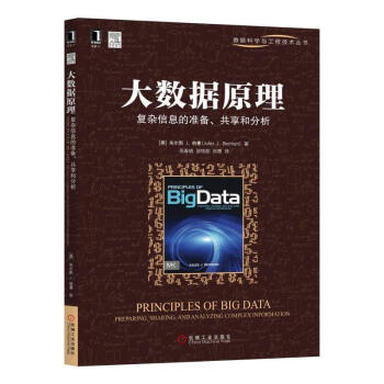 正版 大数据原理 复杂信息的准备 共享和分析 单向哈希函数 建模算法 自我认知 可扩展标 pdf epub mobi 电子书 下载