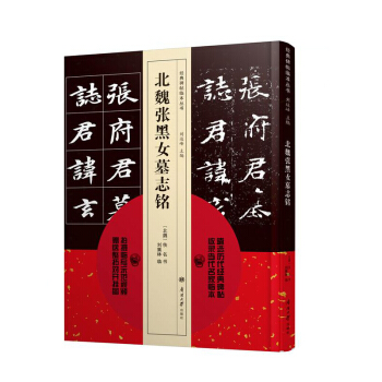 【正版現貨】碑帖臨本叢書 北魏張黑女墓誌銘 pdf epub mobi 電子書 下載