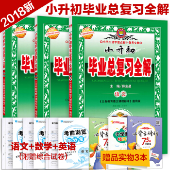 2018小升初毕业总复习全解语文数学英语3本 小升初语文数学英语 小升初总复习