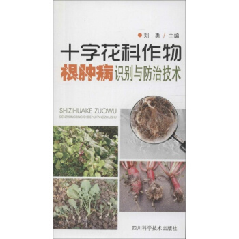十字花科作物根腫病識彆與防治技術