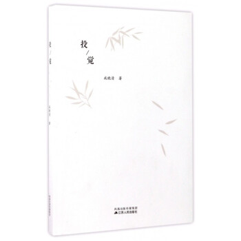 投觉 pdf epub mobi 电子书 下载