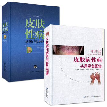 皮肤病性病实用彩色图谱+皮肤性病诊断与治疗套装2本 诊断标准及治疗参考用书 pdf epub mobi 电子书 下载