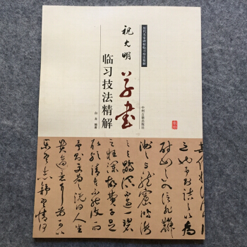 祝允明草书毛笔书法碑帖临习技法精解前赤壁赋云江记滕王阁序并诗