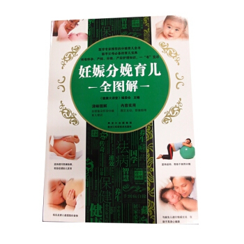 妊娠分娩育儿全图解 pdf epub mobi 电子书 下载