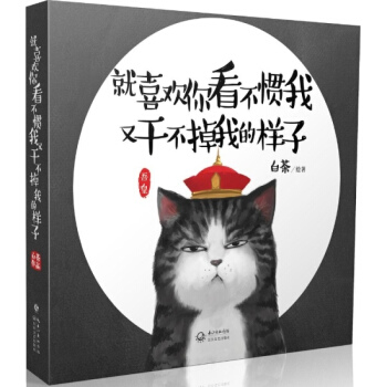 就喜欢你看不惯我又干不掉我的样子 pdf epub mobi 电子书 下载