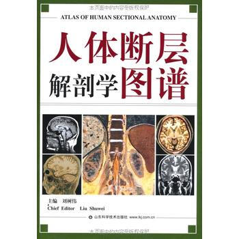人体断层解剖学图谱 刘树伟 pdf epub mobi 电子书 下载