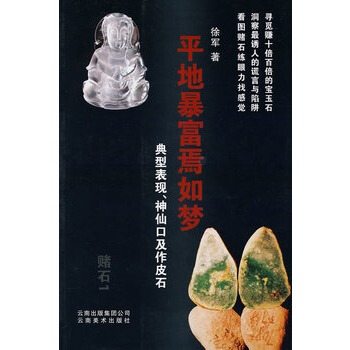 赌石1平地暴富焉如梦 徐军 云南美术出版社 鉴赏收藏 pdf epub mobi 电子书 下载