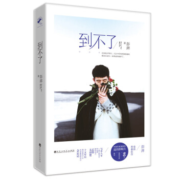 到不了/彭湃 pdf epub mobi 电子书 下载