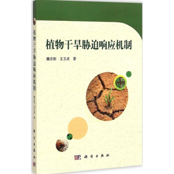 植物干旱胁迫响应机制