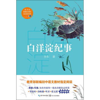 白洋澱紀事(教育部新編語文教材指定閱讀書係) pdf epub mobi 電子書 下載