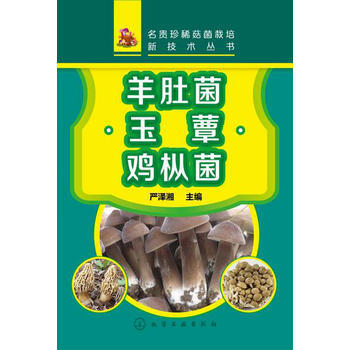 名贵珍稀菇菌栽培新技术丛书--羊肚菌 玉蕈 鸡枞菌 pdf epub mobi 电子书 下载