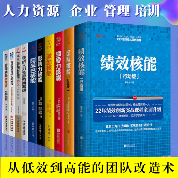绩效 核能+激励核能+管理就是做考核+我的人力资源咨询笔记等共10册 企业HR管理高管培训书 pdf epub mobi 电子书 下载
