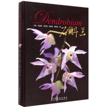 石斛兰 pdf epub mobi 电子书 下载