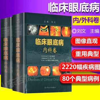 临床眼底病 内科卷+外科卷