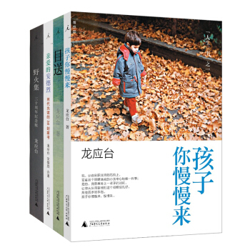 龙应台作品全集共4册 龙应台目送+孩子你慢慢来+爱的安德烈+野火集 龙应台经典散文集书籍 pdf epub mobi 电子书 下载