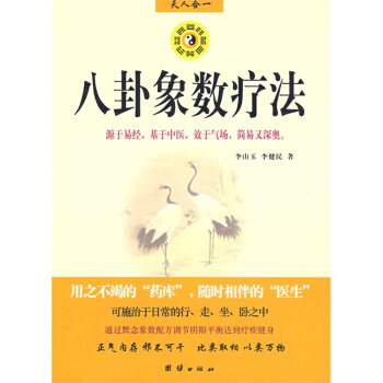 八卦象數療法 李玉山 八卦象數療法 pdf epub mobi 電子書 下載