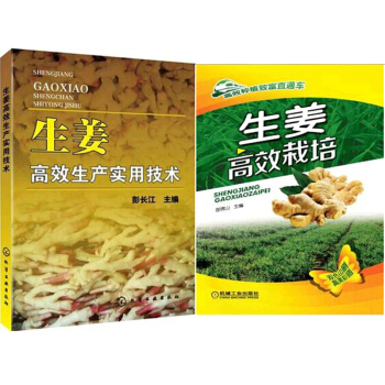 區域包郵 生薑高效生産實用技術+高效種植緻富直通車:生薑高效栽培 2本 pdf epub mobi 電子書 下載