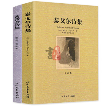 泰戈尔诗集+普希金诗集2册 世界名著全译本诗选大全集 足本无删减 pdf epub mobi 电子书 下载