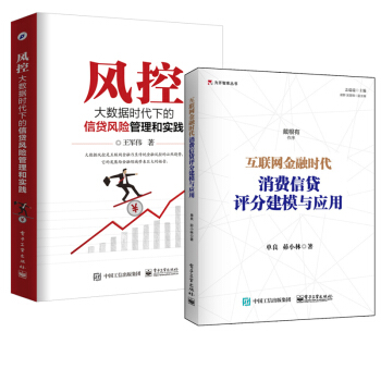 包邮 风控 大数据时代下的信贷风险管理和实践+互联网金融时代:消费信贷评分建模与应用 2本 pdf epub mobi 电子书 下载