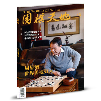 围棋天地杂志2018年第13期 pdf epub mobi 电子书 下载