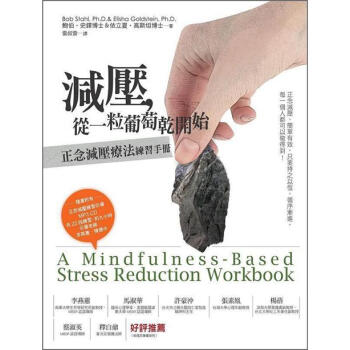 減壓，從一粒葡萄乾開始：正念減壓療法練習手冊（附光碟） [A Mindfulness-Based Stress Reduction Workbook] pdf epub mobi 電子書 下載
